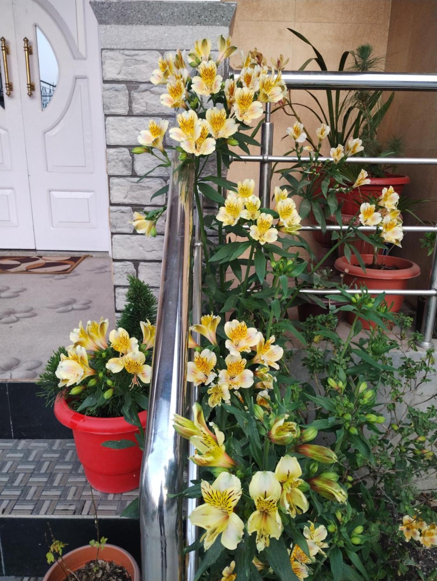 Tranquil Retreat Homestay Ghum Bagian luar foto
