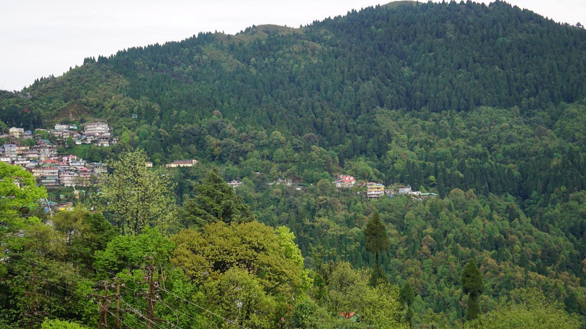 Tranquil Retreat Homestay Ghum Bagian luar foto