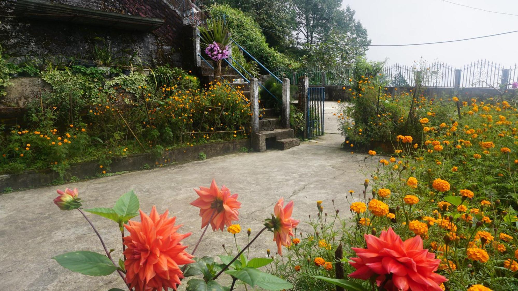 Tranquil Retreat Homestay Ghum Bagian luar foto