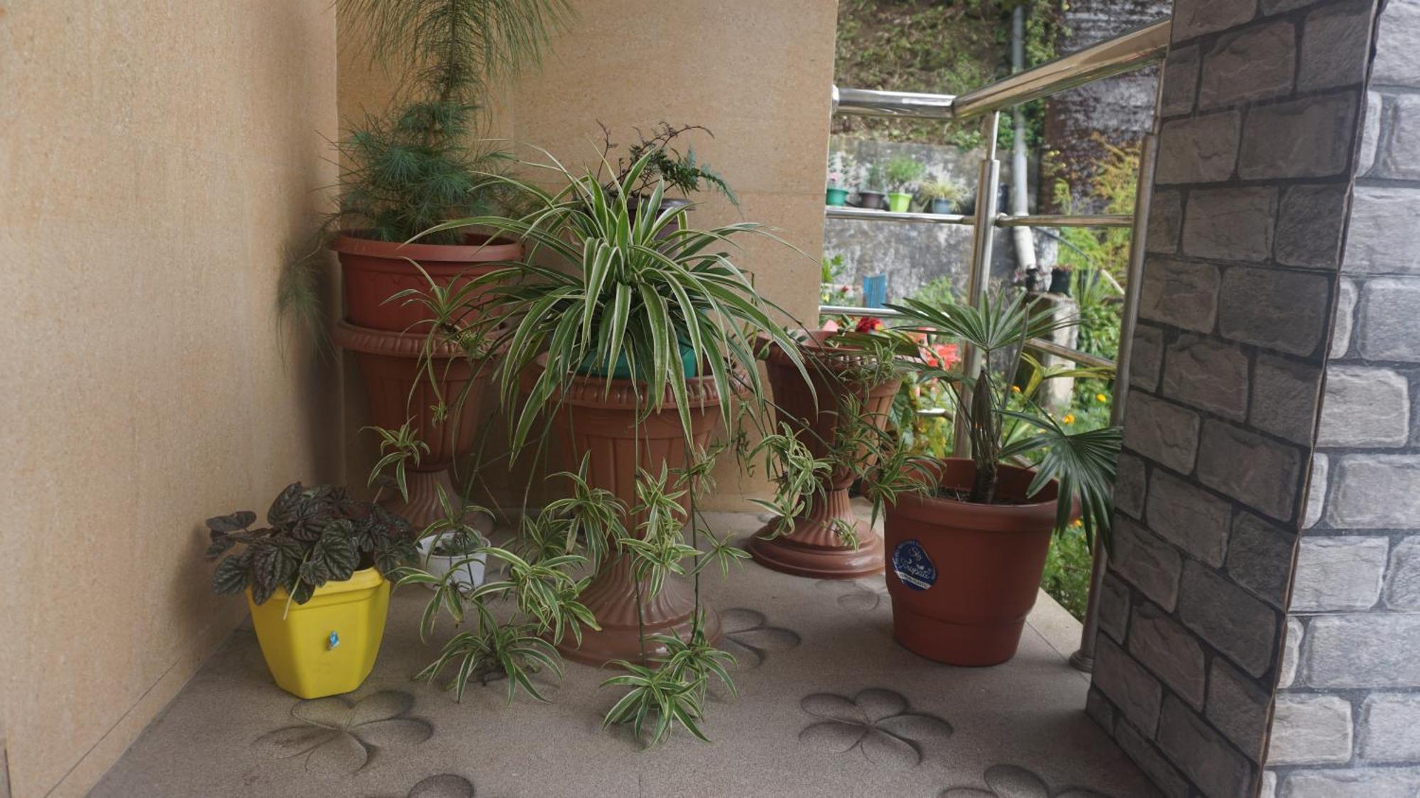 Tranquil Retreat Homestay Ghum Bagian luar foto